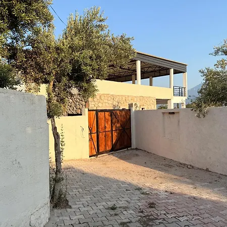 Belgravia * فتحية